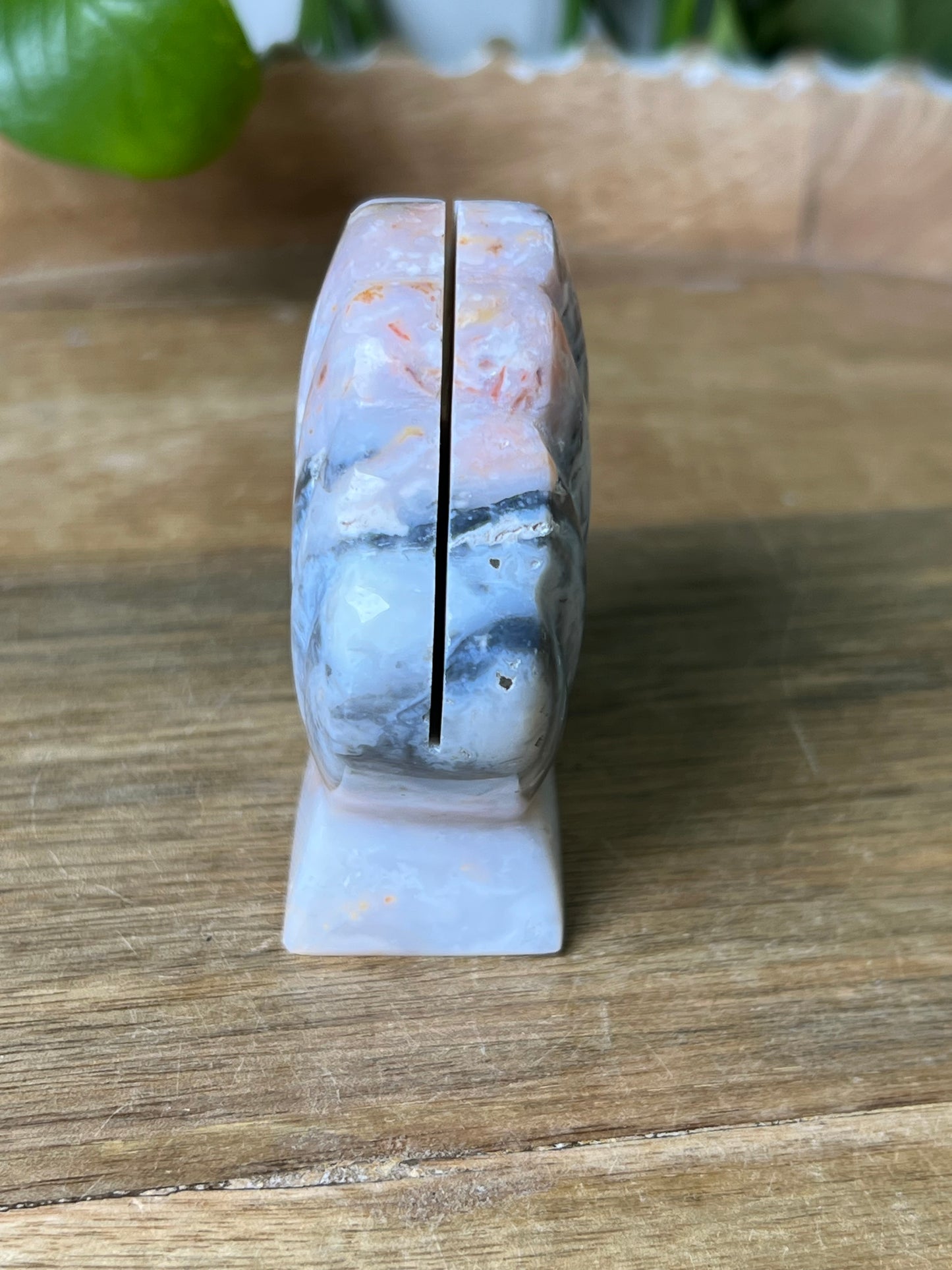 Rainbow Plume Agate Shell