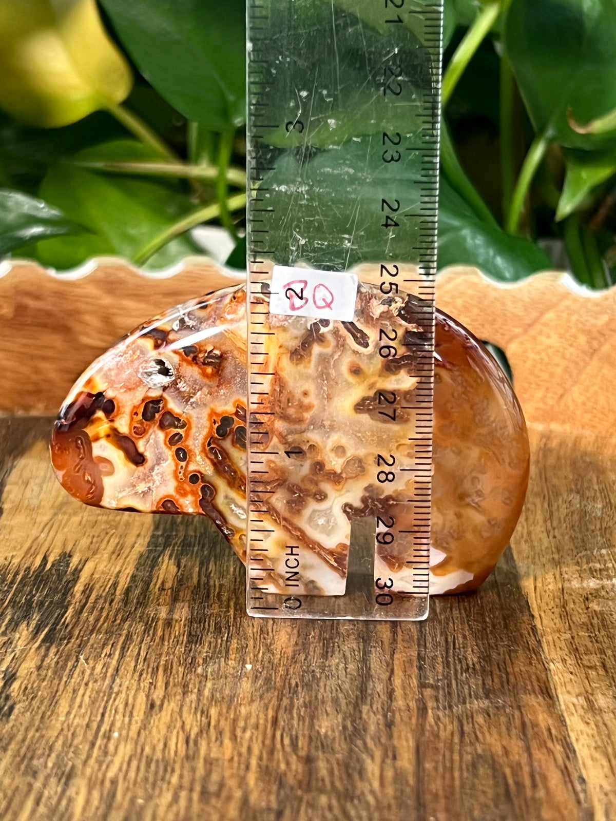 Red Carnelian Bears