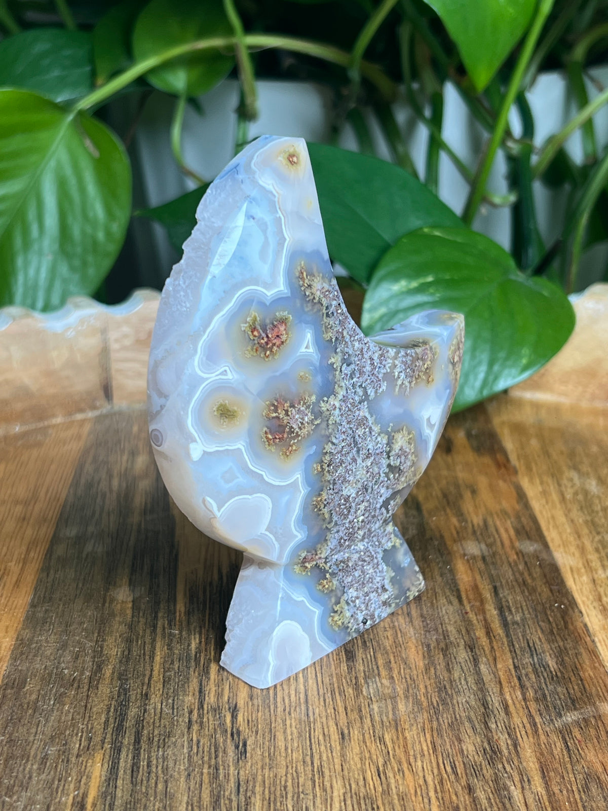 Scenic Moss Agate Self-Standing Moon: PN