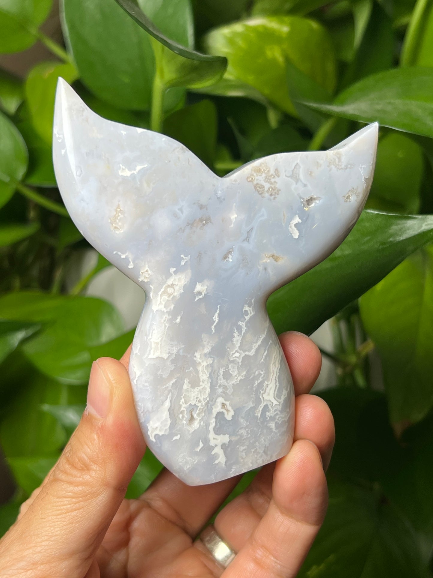 Winter Plume Agate Tail