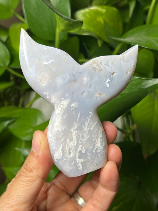 Winter Plume Agate Tail