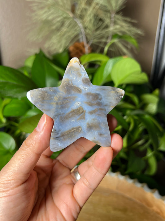 Dendritic Tiger Star