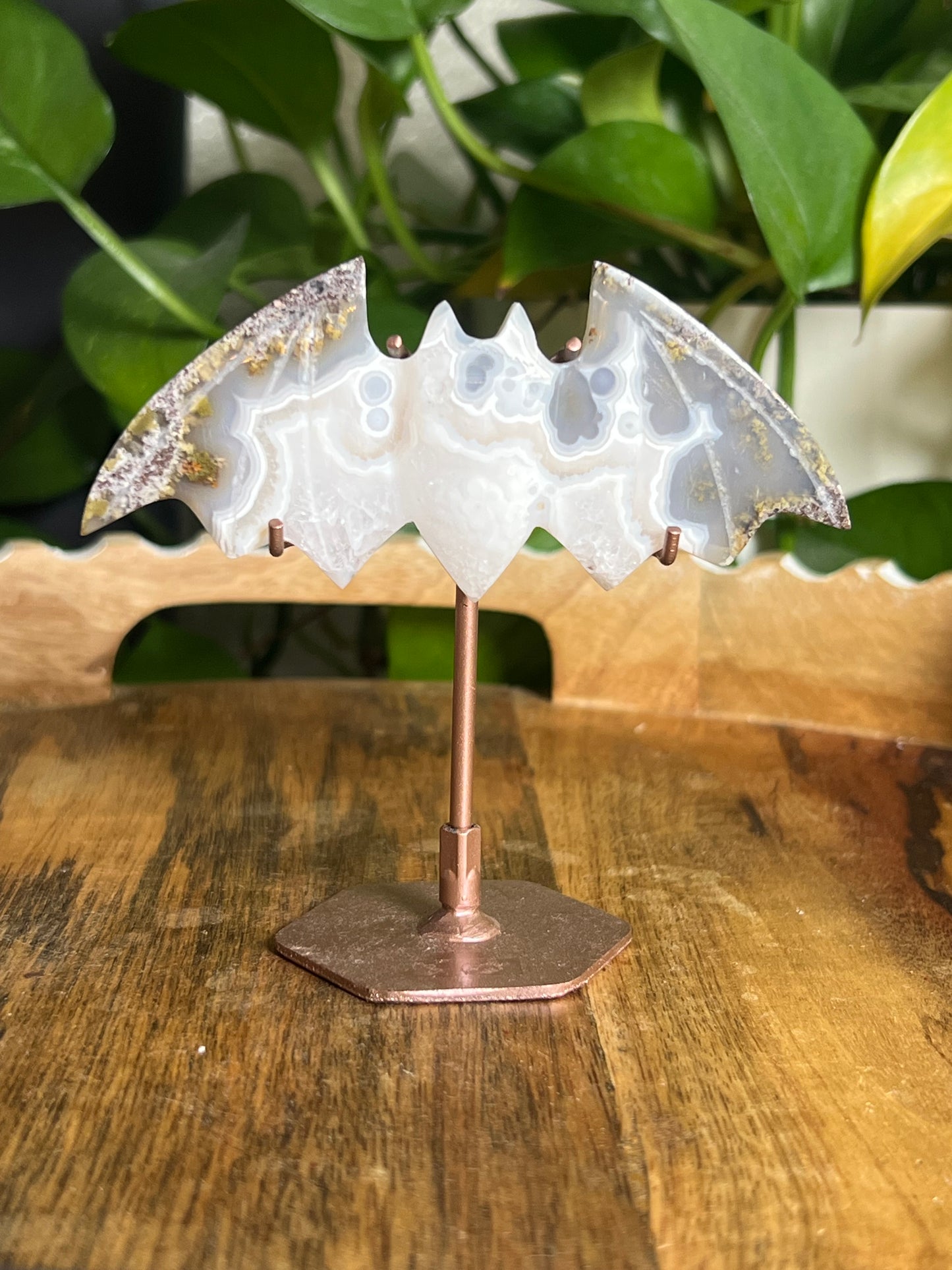 Scenic Moss Agate Bat