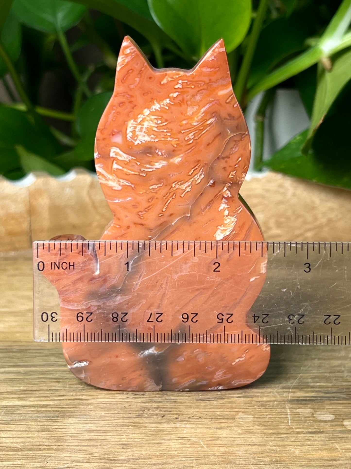 Carnelian Cat