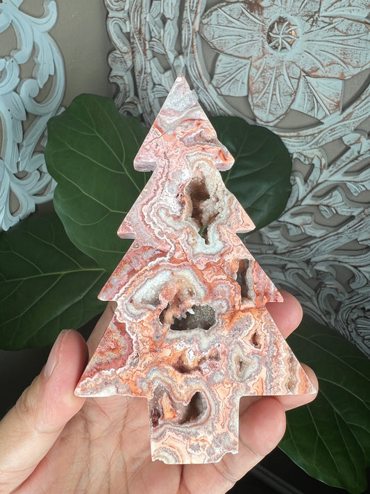 Crazy Lace Agate Tree
