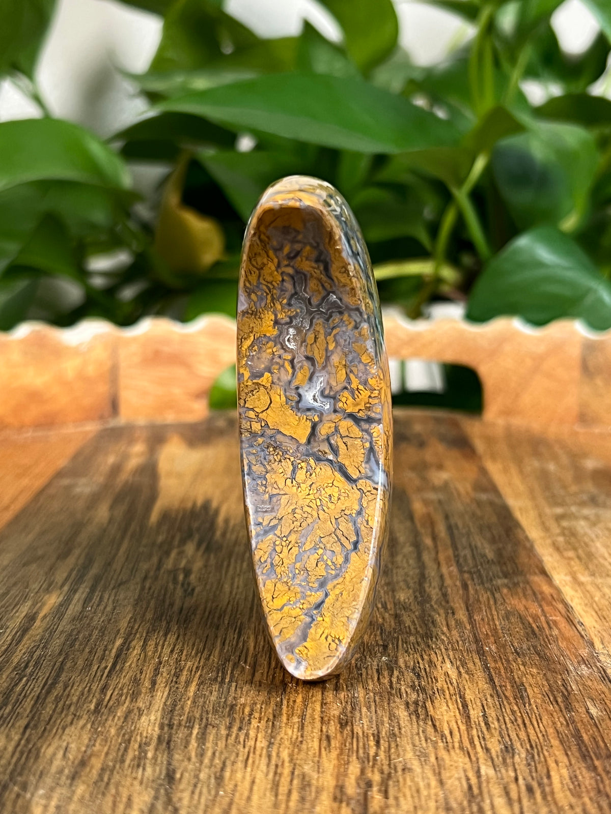 Brecciated Jasper Self Standing Moon: DB