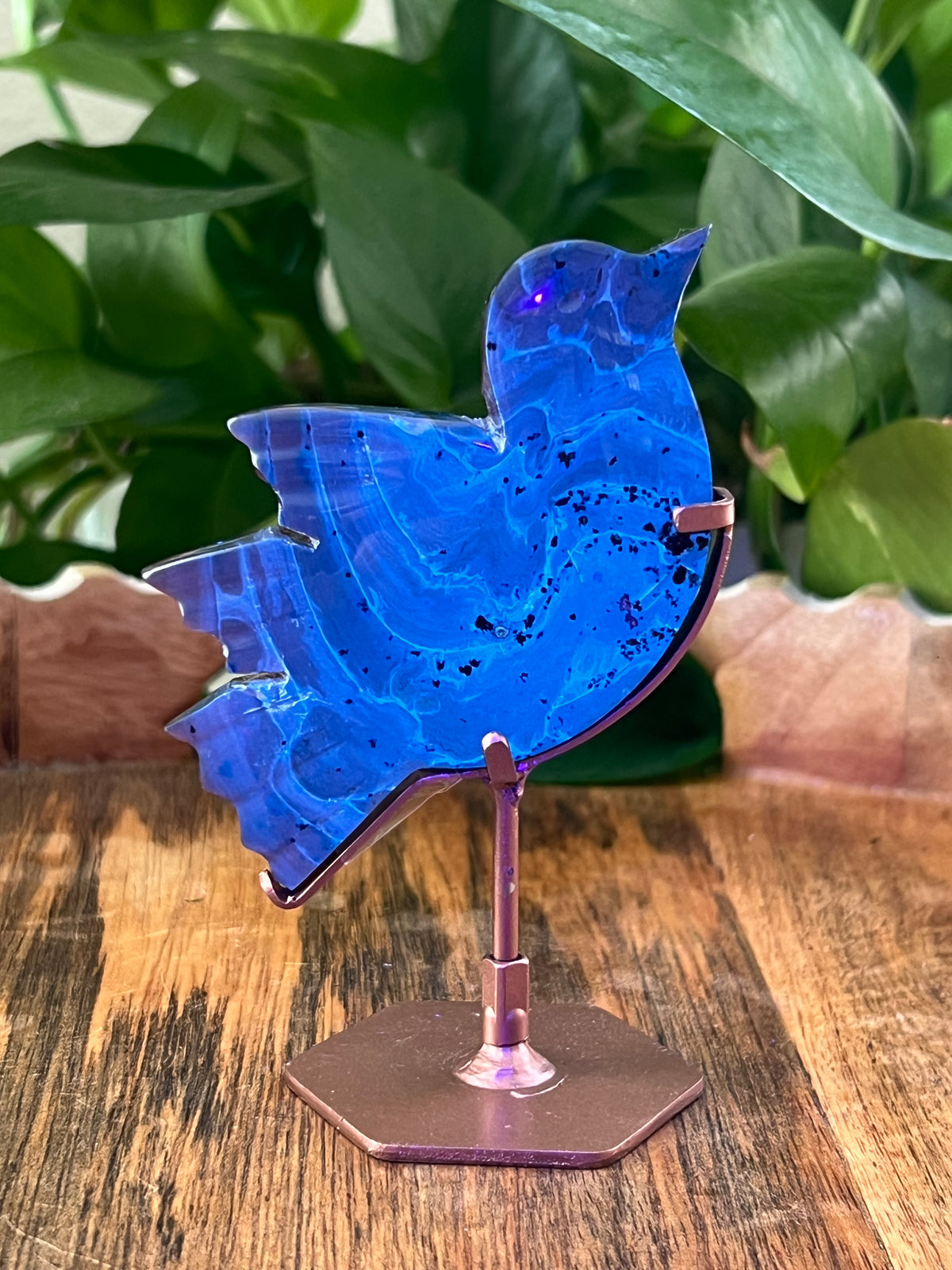 Blue Amber Bird: AK