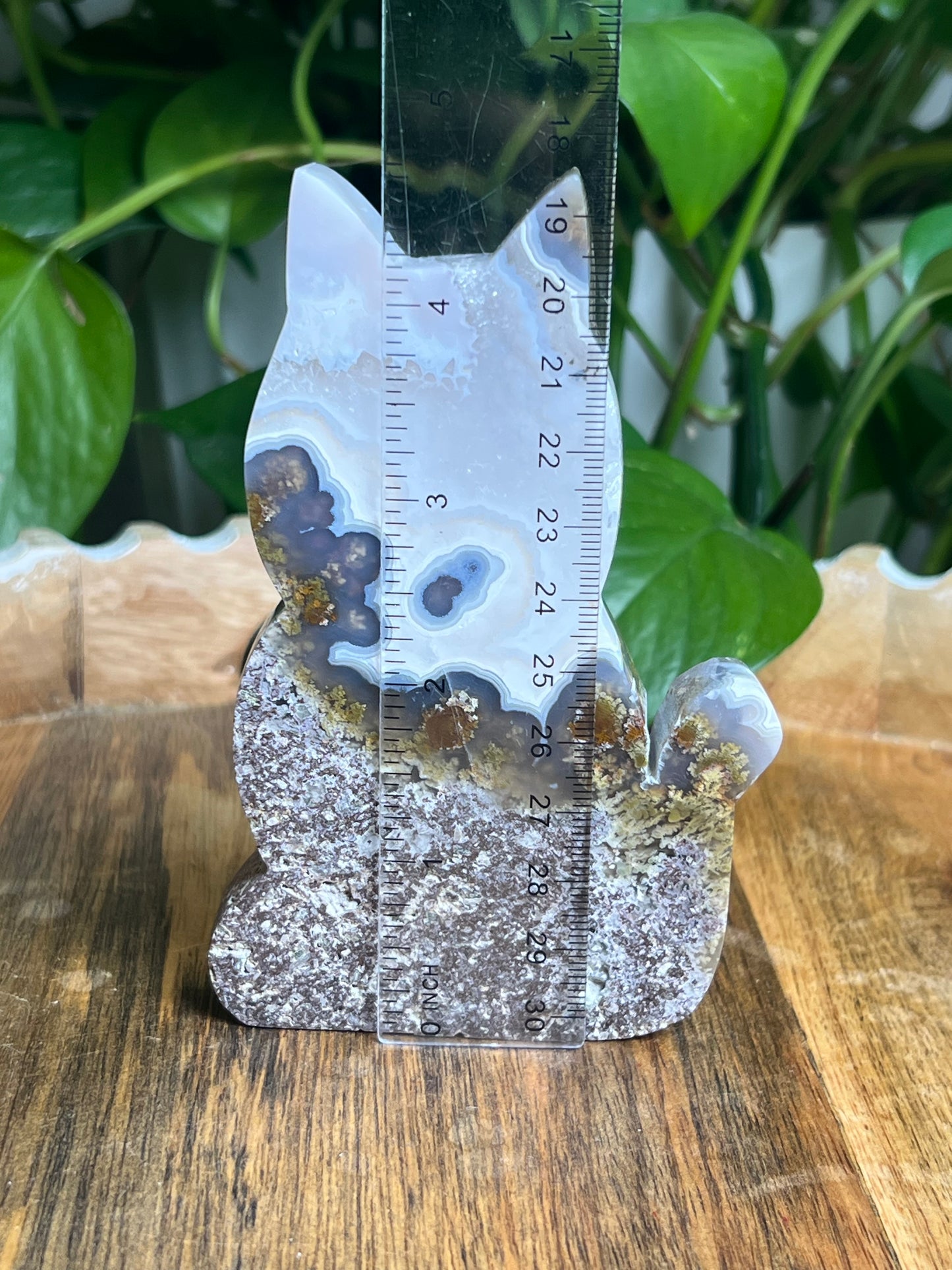 Scenic Moss Agate Cat: AE