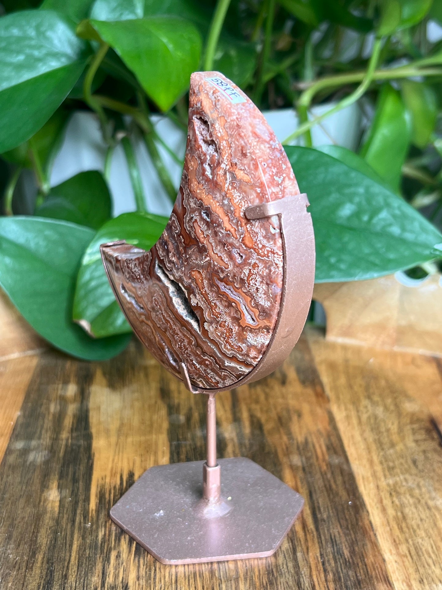 Crazy Lace Agate Moon: PF
