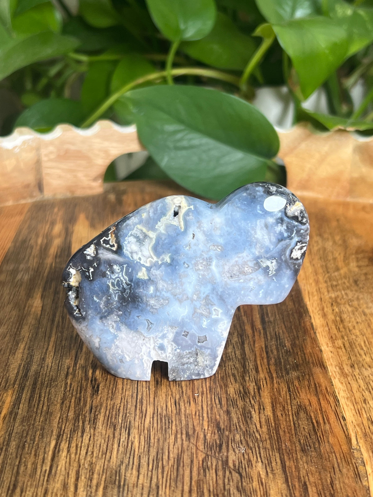 Blue Plume Agate Buffalo: BK