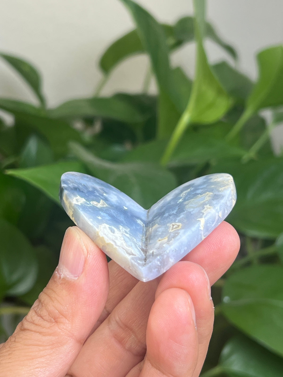 Blue Plume Agate 3D Butterfly: HC