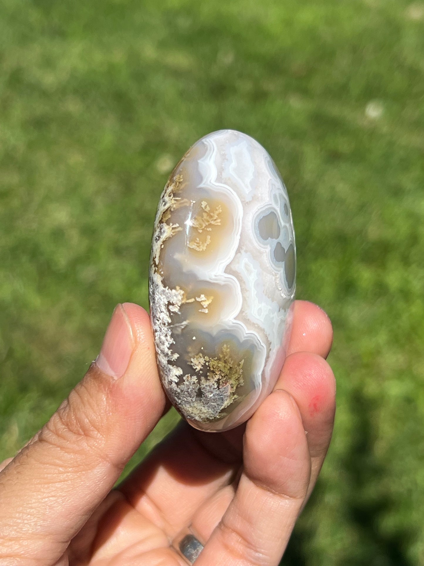 Scenic Moss Agate Palmstone RD