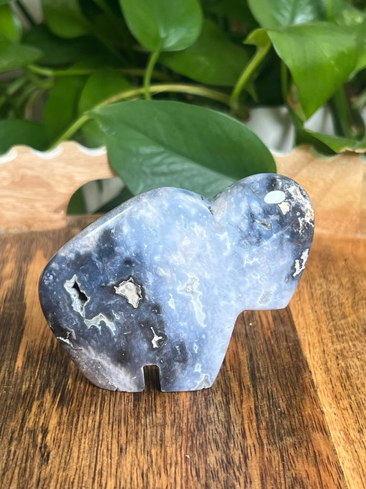 Blue Plume Agate Buffalo: BN