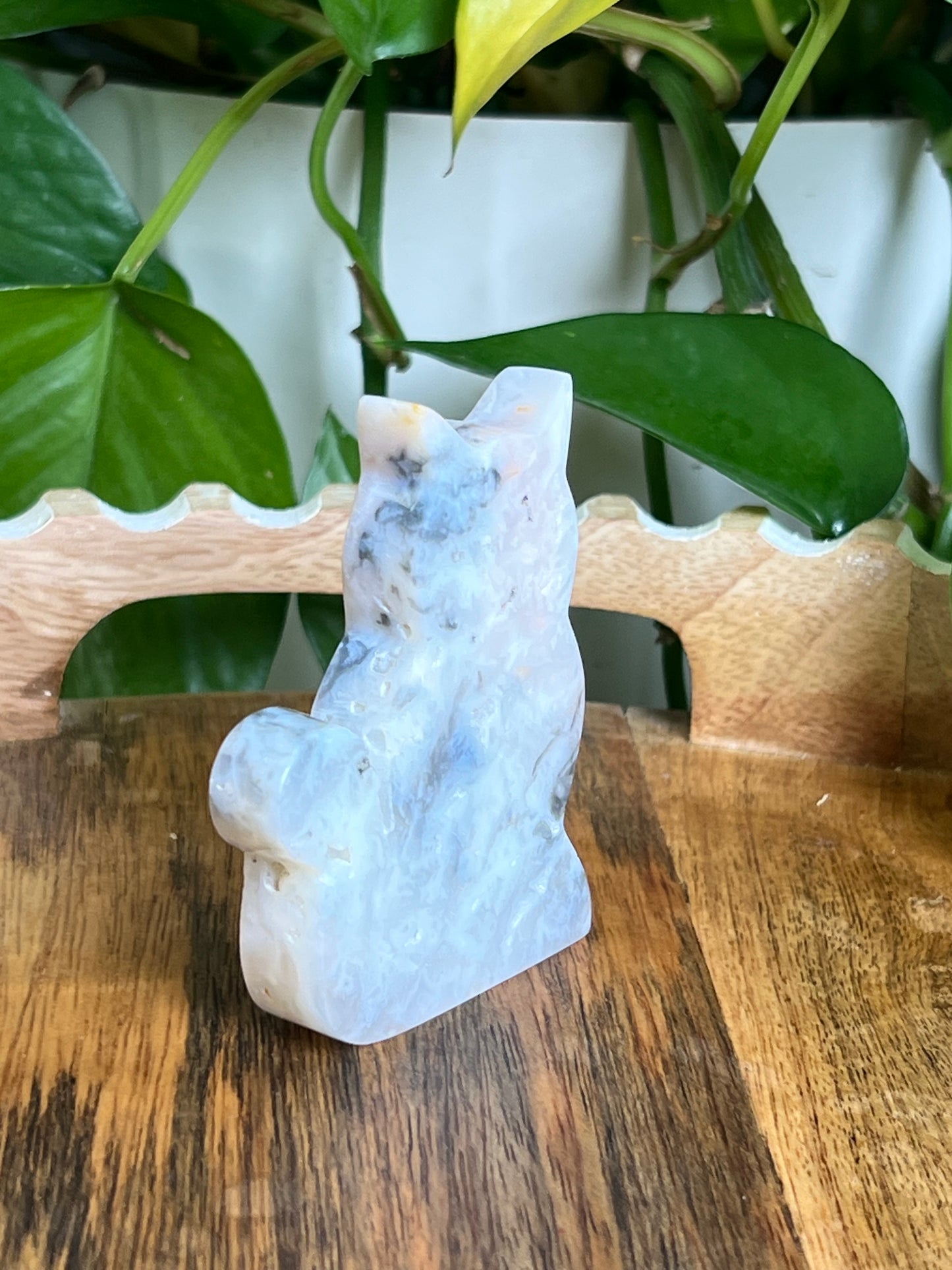 Rainbow Plume Agate Cat B