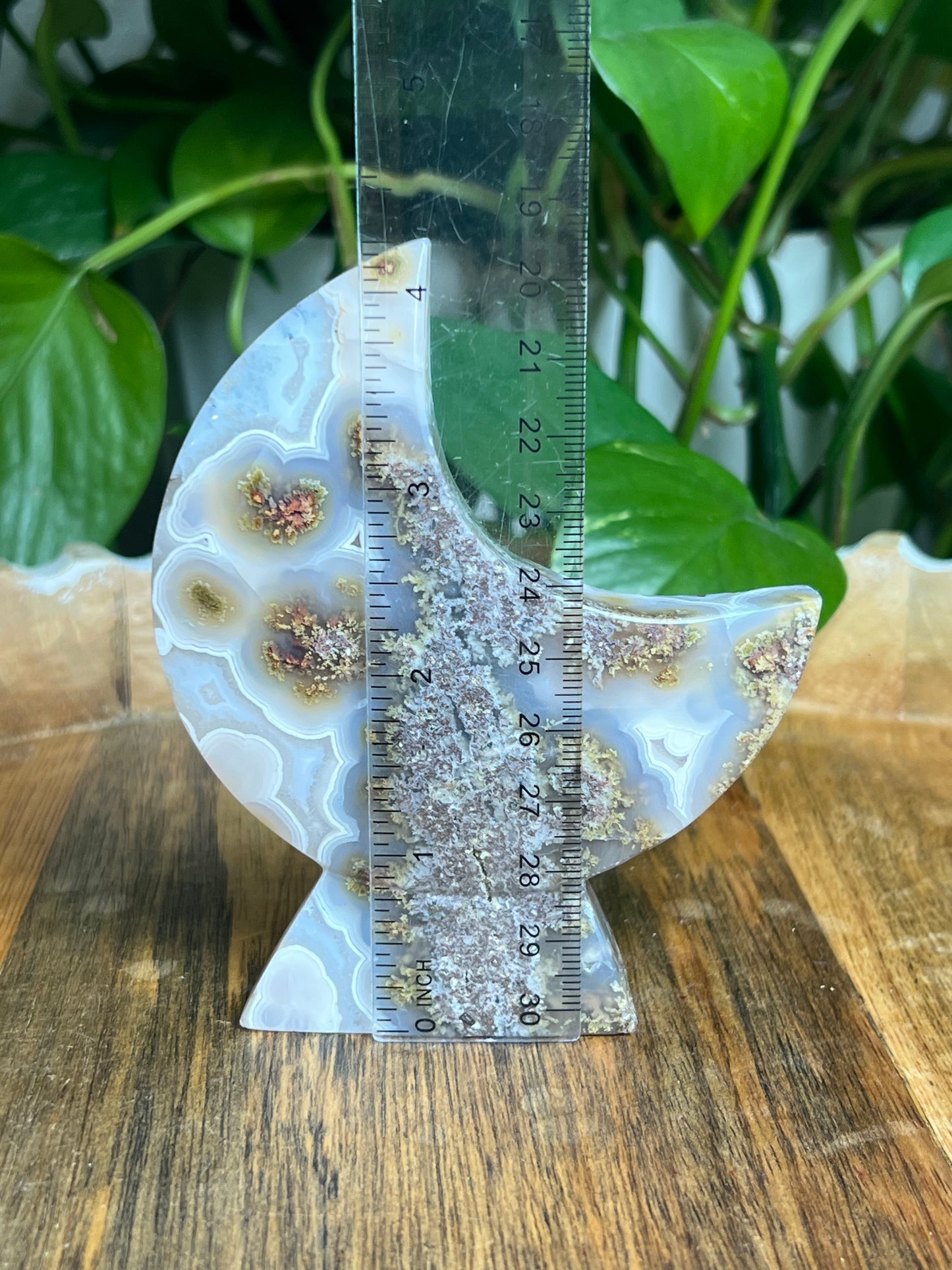 Scenic Moss Agate Self-Standing Moon: PN