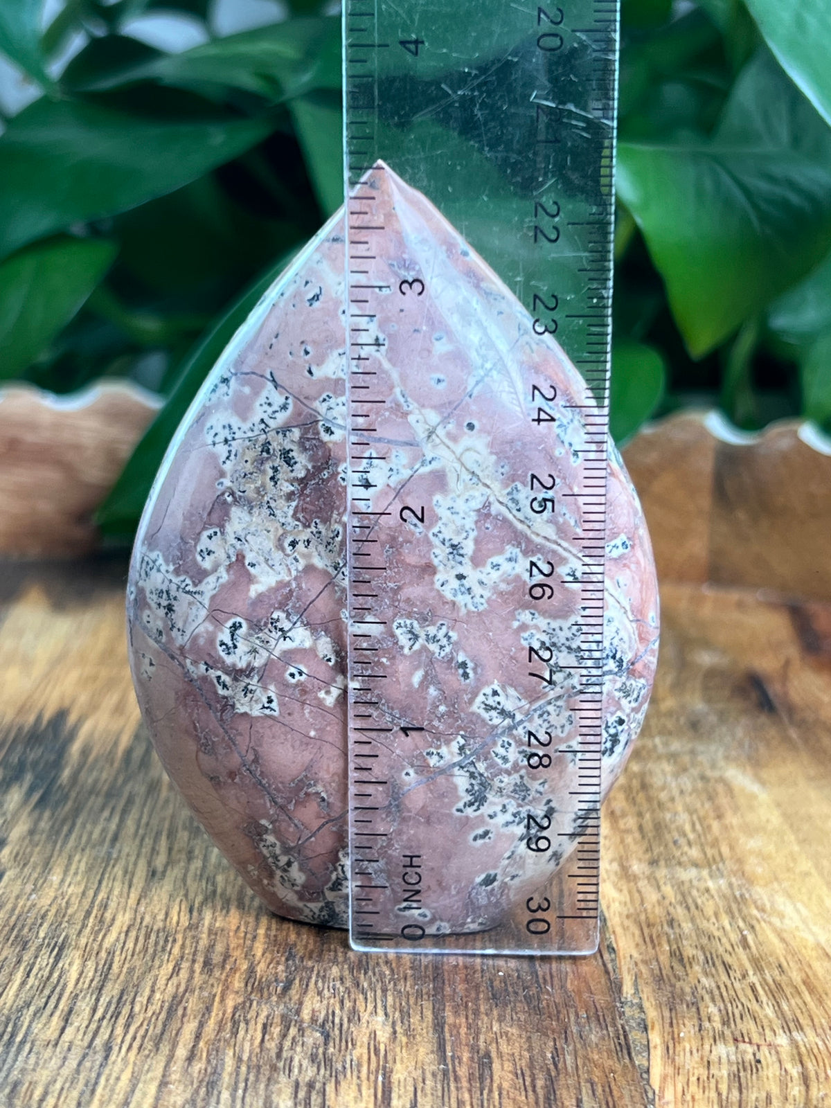 Dendritic Jasper Flame: NA