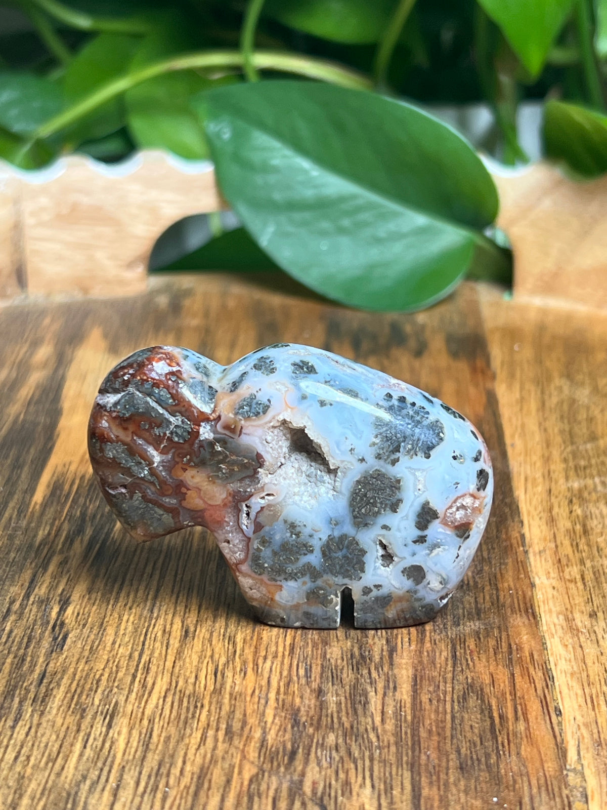 Marcasite Mini Buffalo: Mi