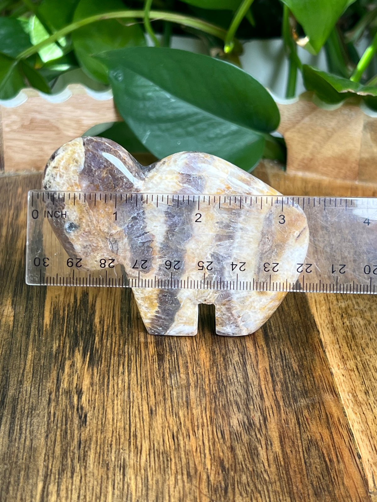 Indonesian Amethyst Buffalo: SA