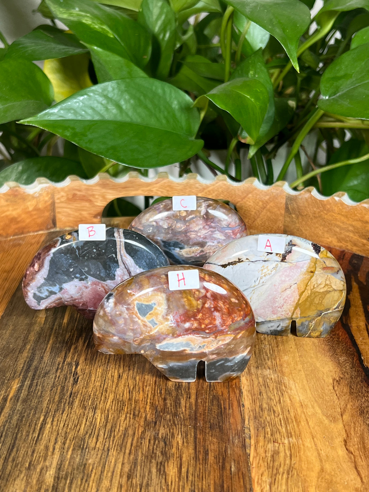 River Jasper Bears
