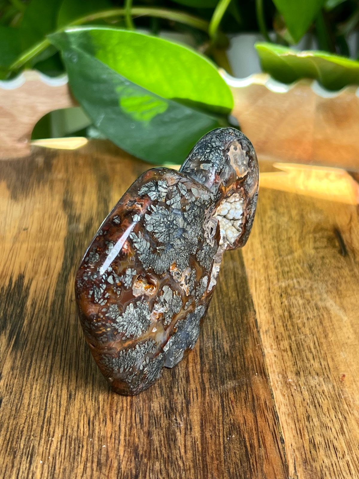 Marcasite Buffalo: CV