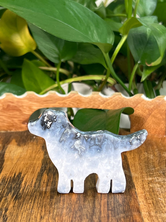 Blue Plume Agate Dogs