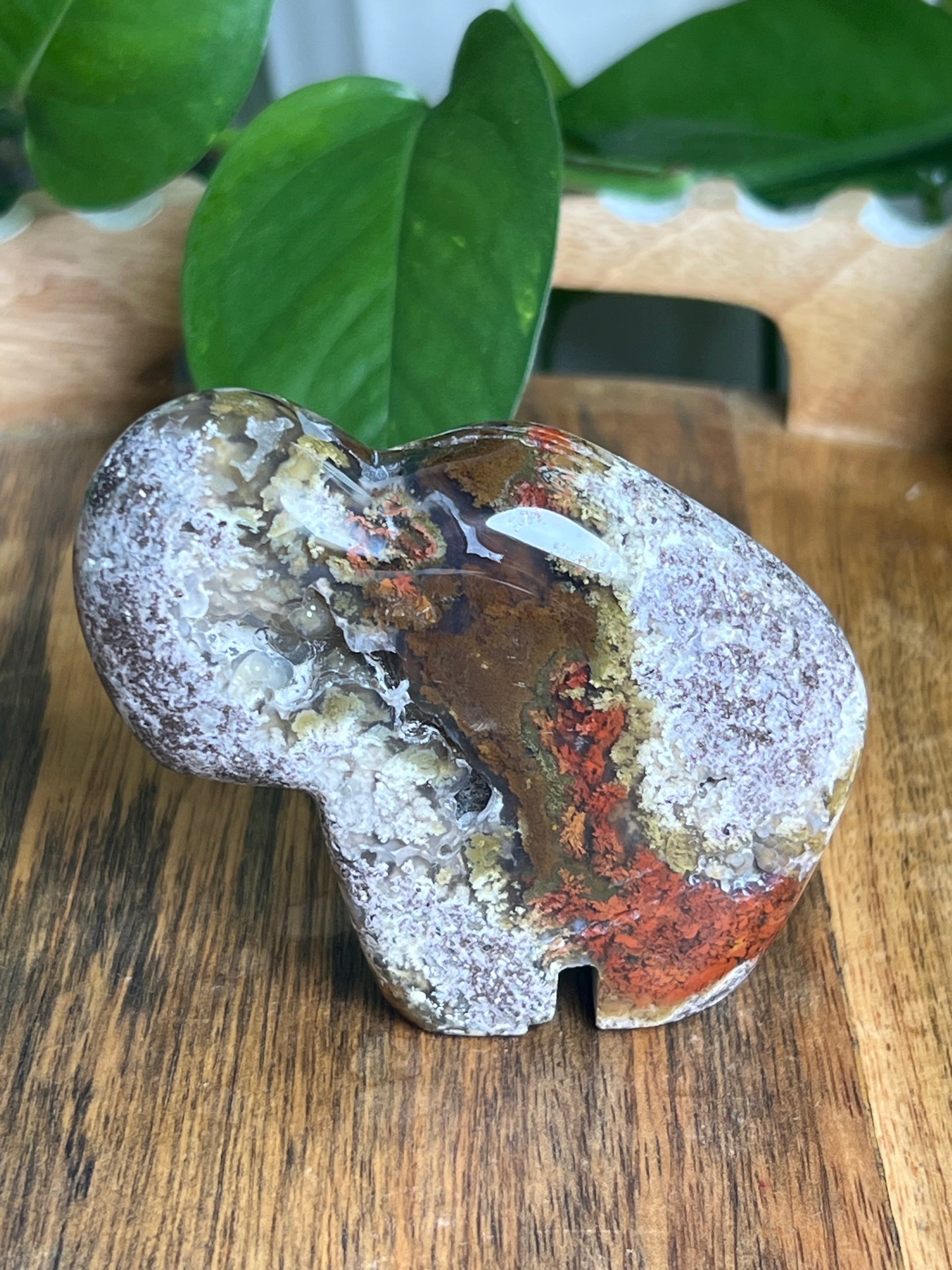 Scenic Moss Agate Buffalo NA