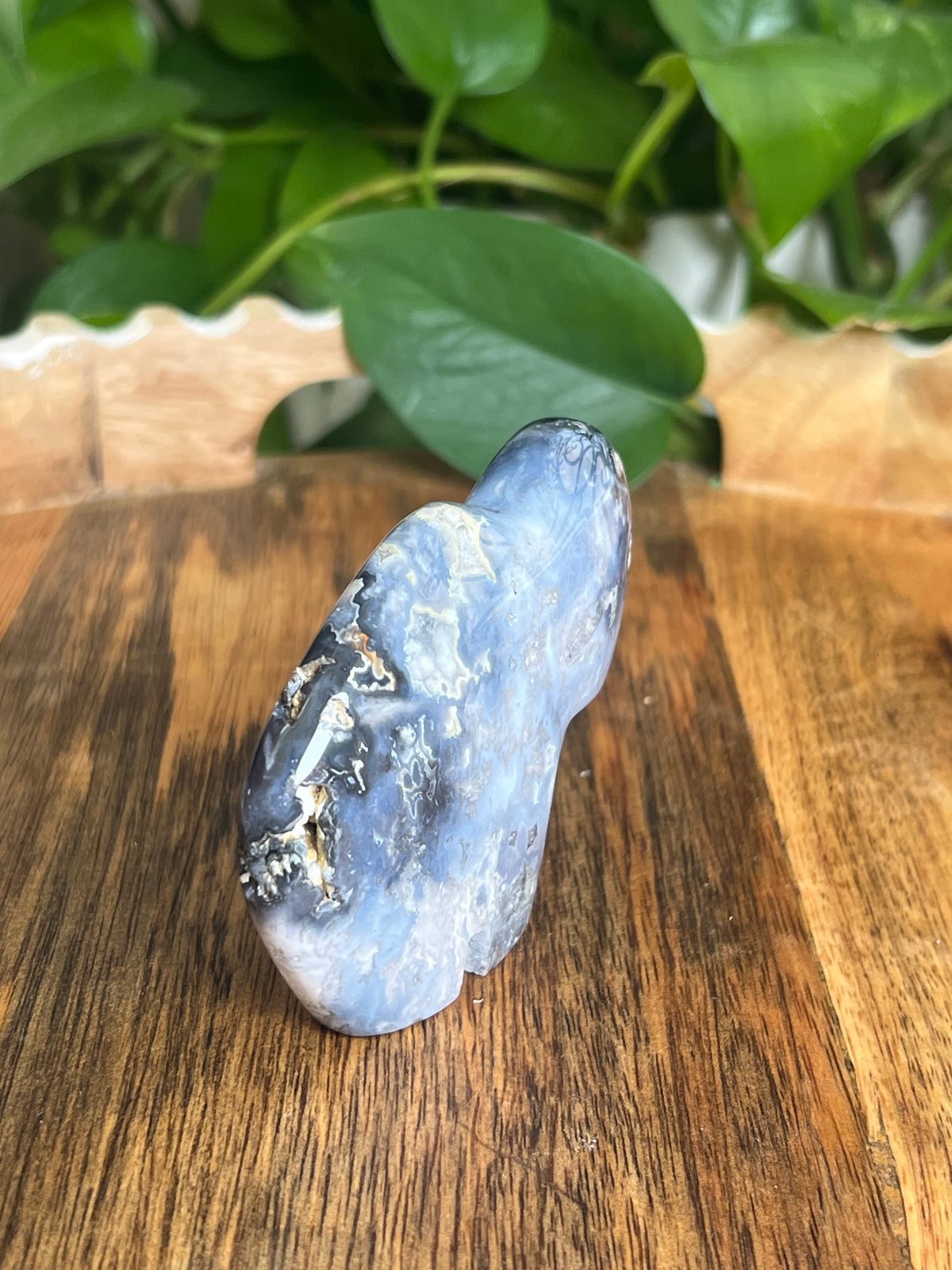 Blue Plume Agate Buffalo: BK
