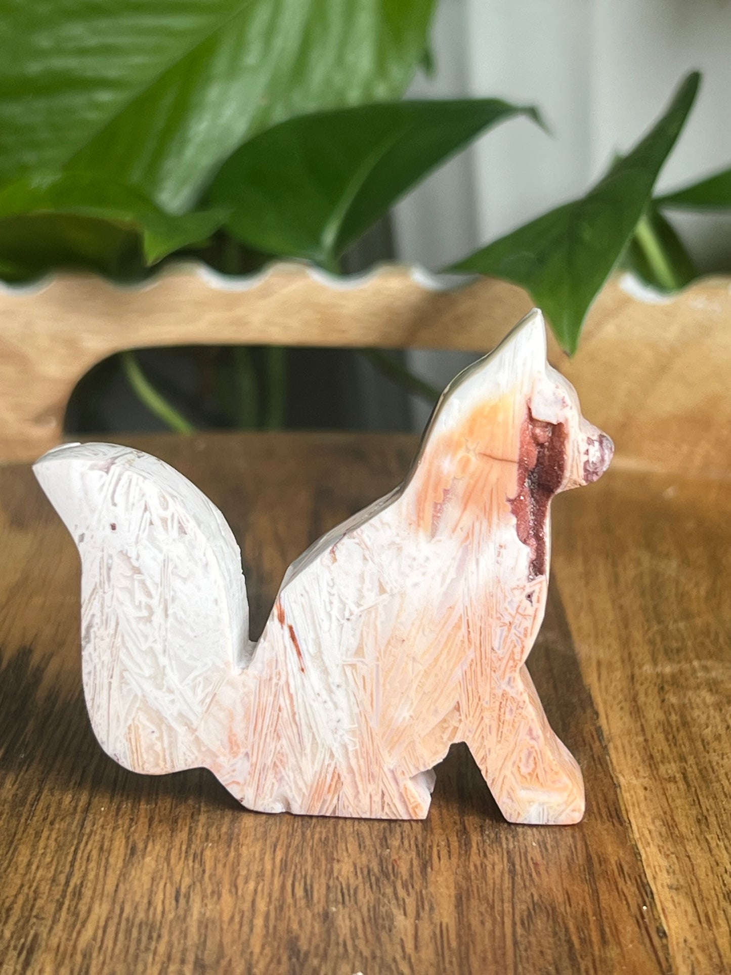 Tube Agate Fox Bi