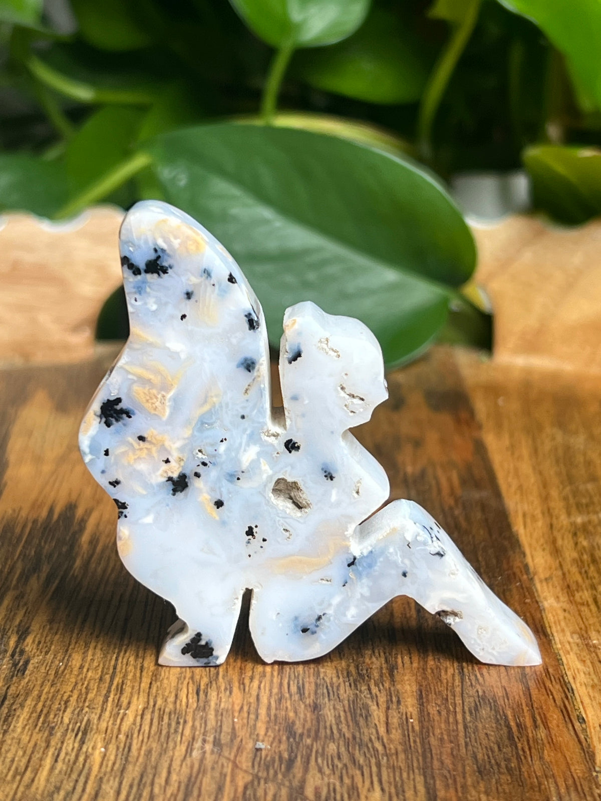 Dendritic Tiger Agate Fairy: AB