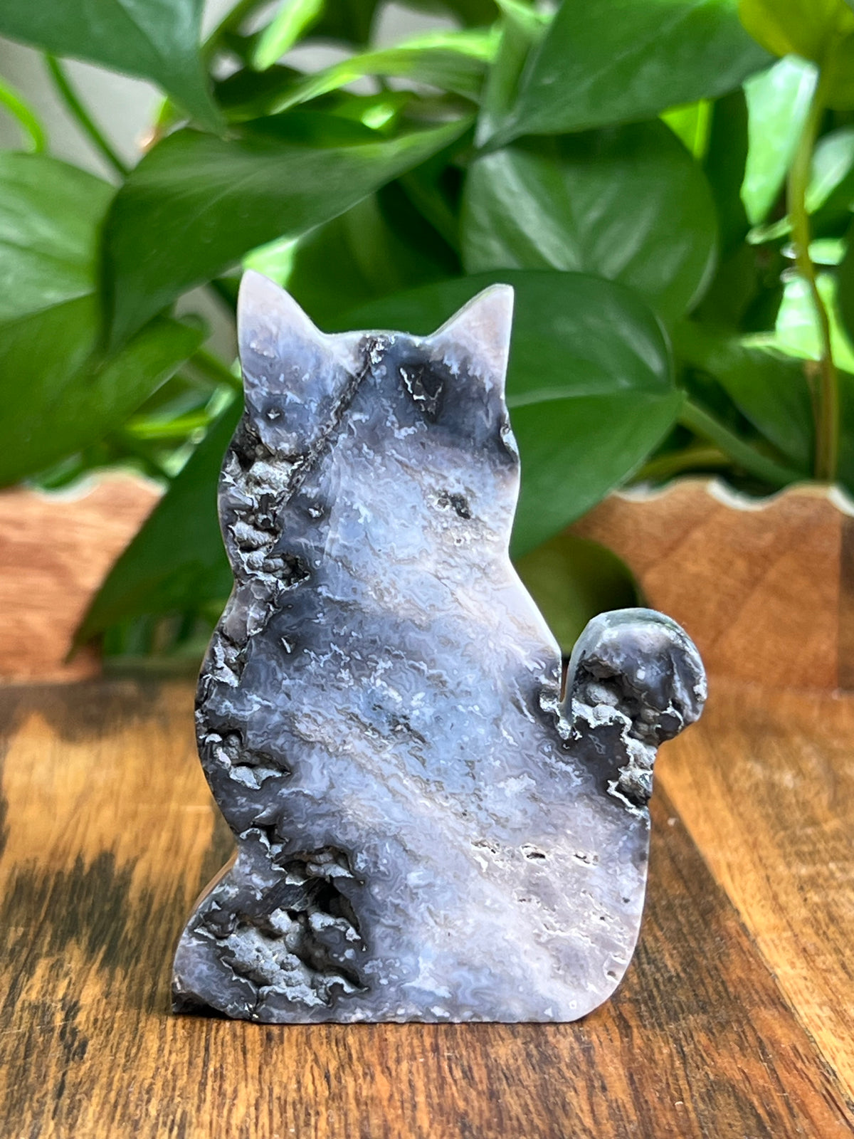 Blue Plume Agate Cat: BE