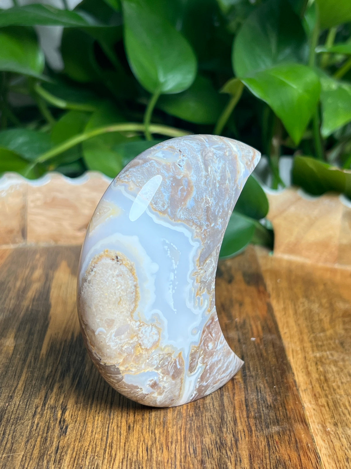Sumatra Plume Agate Self-Standing Moon: NC