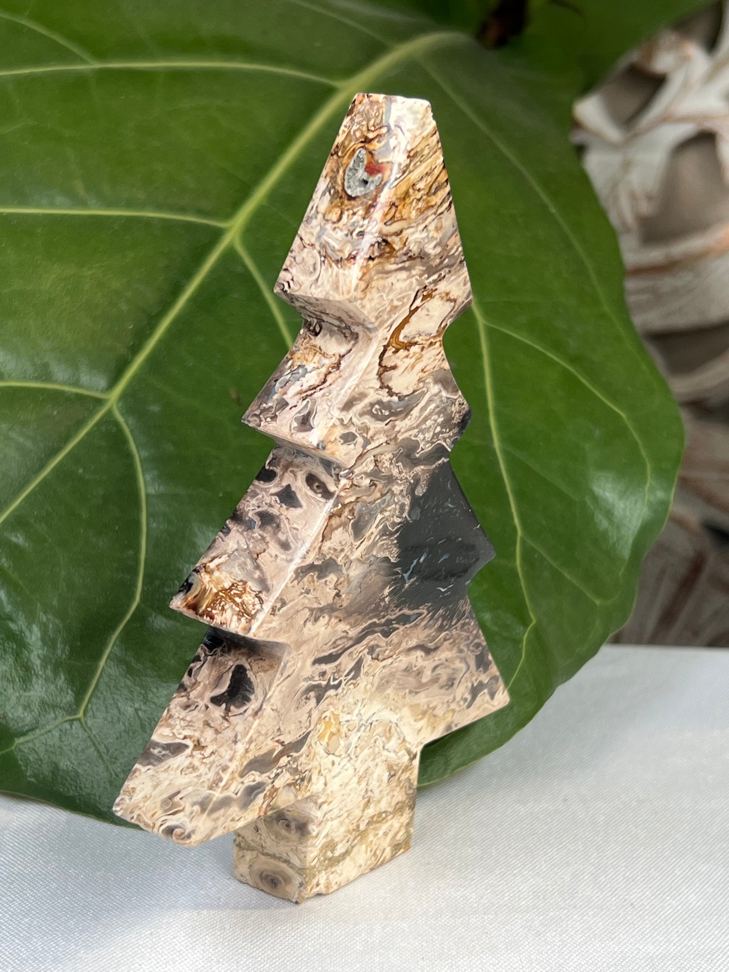 Palm Root Tree