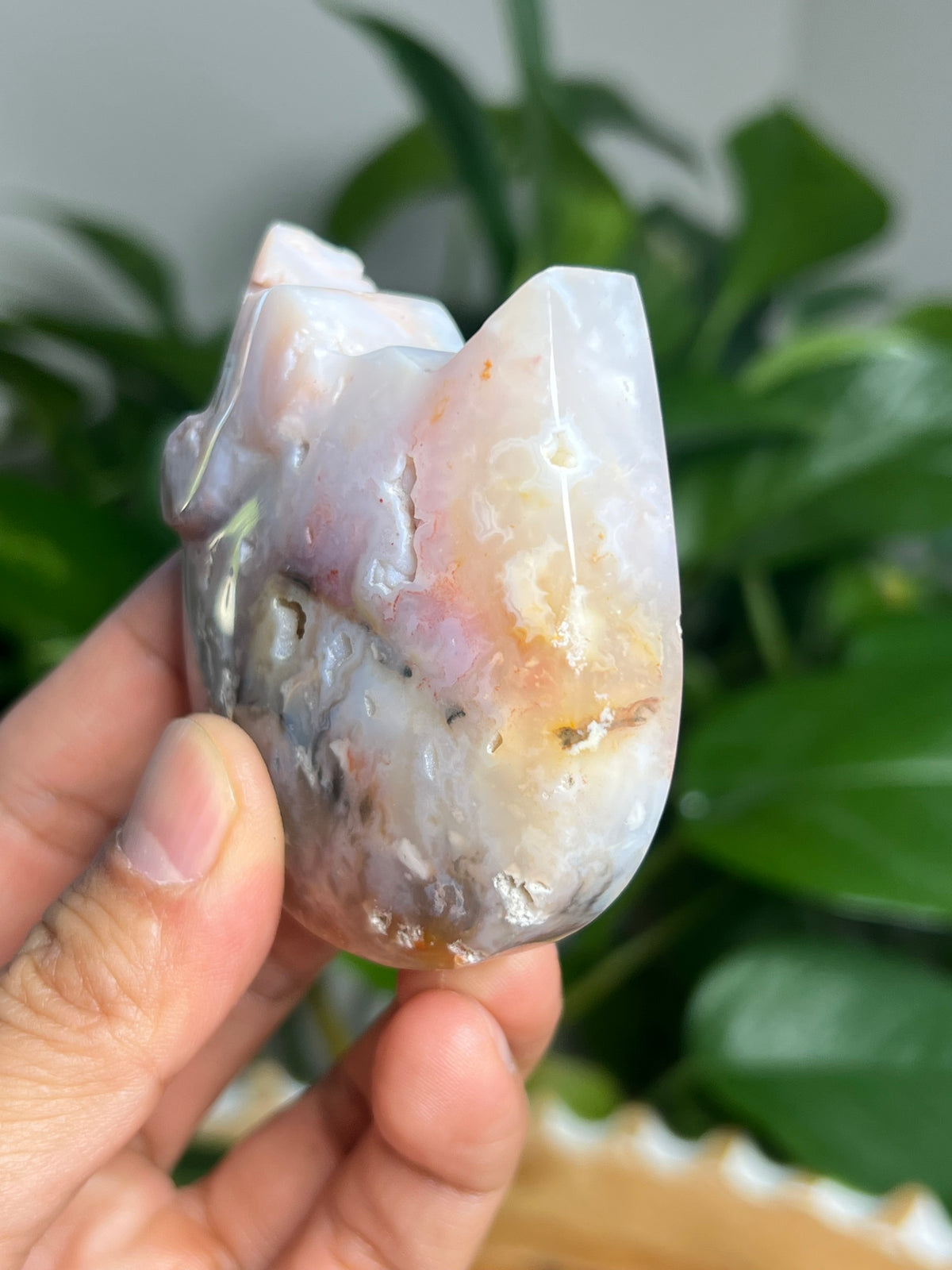 Rainbow Plume Agate Cat: FB