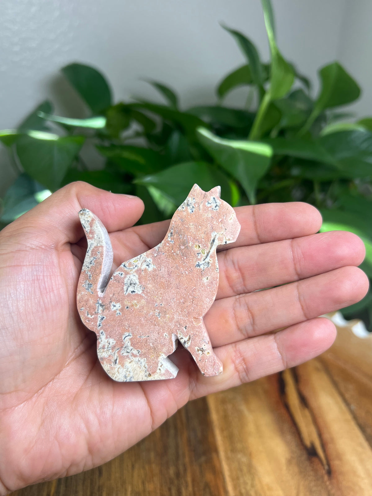 Dendritic Jasper Cat: KA