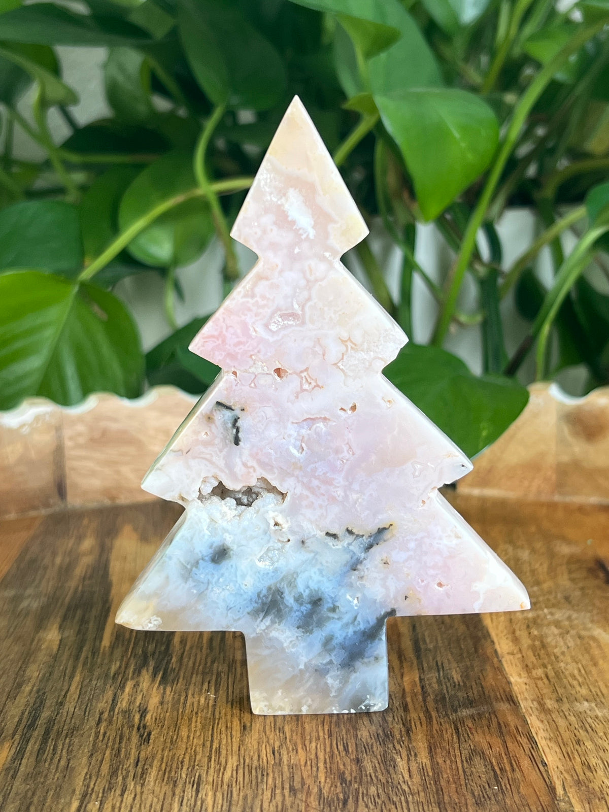 Rainbow Plume Agate Tree: DC