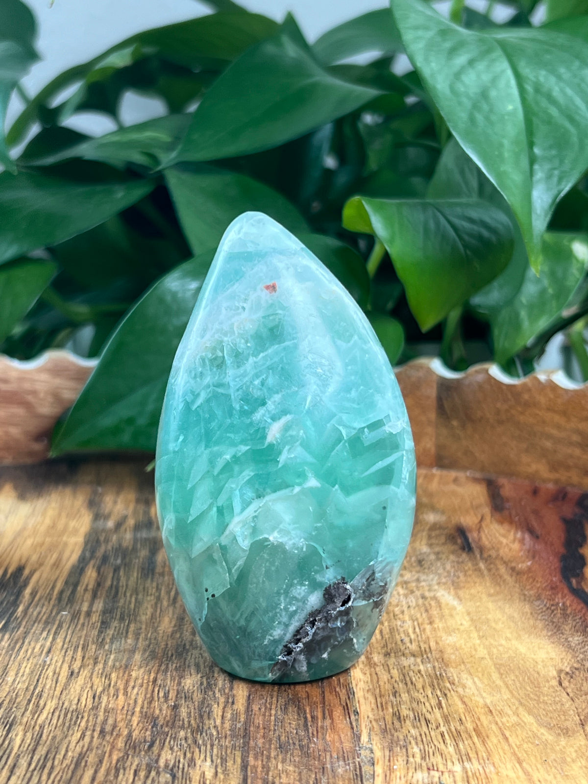 Mexican Flourite Freeform: AE