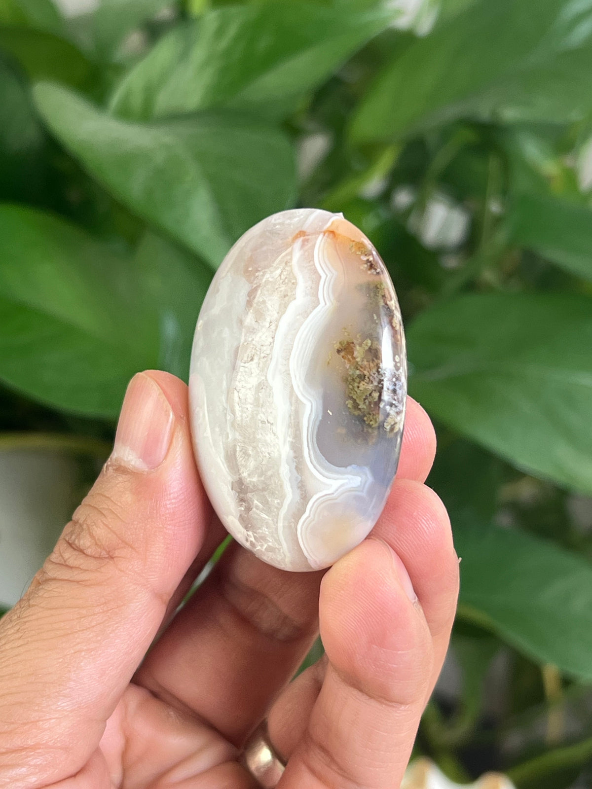 Scenic Moss Agate Palmstone: QB