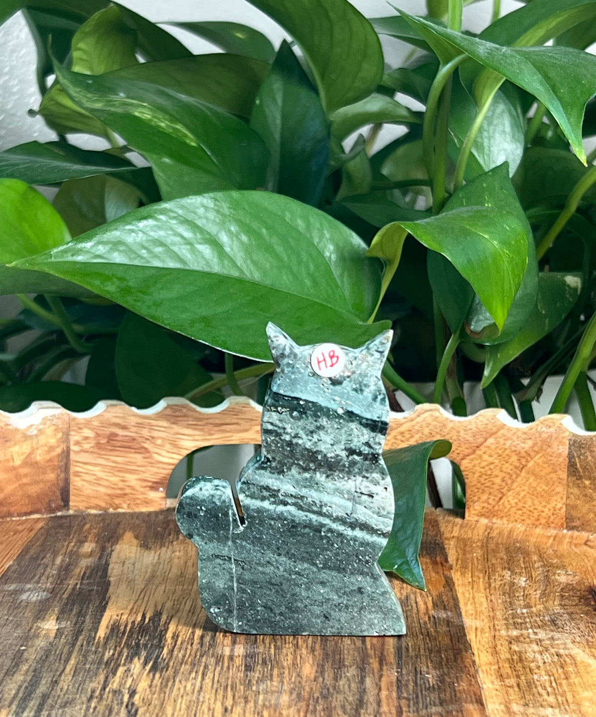 Blue Green Jasper Cats