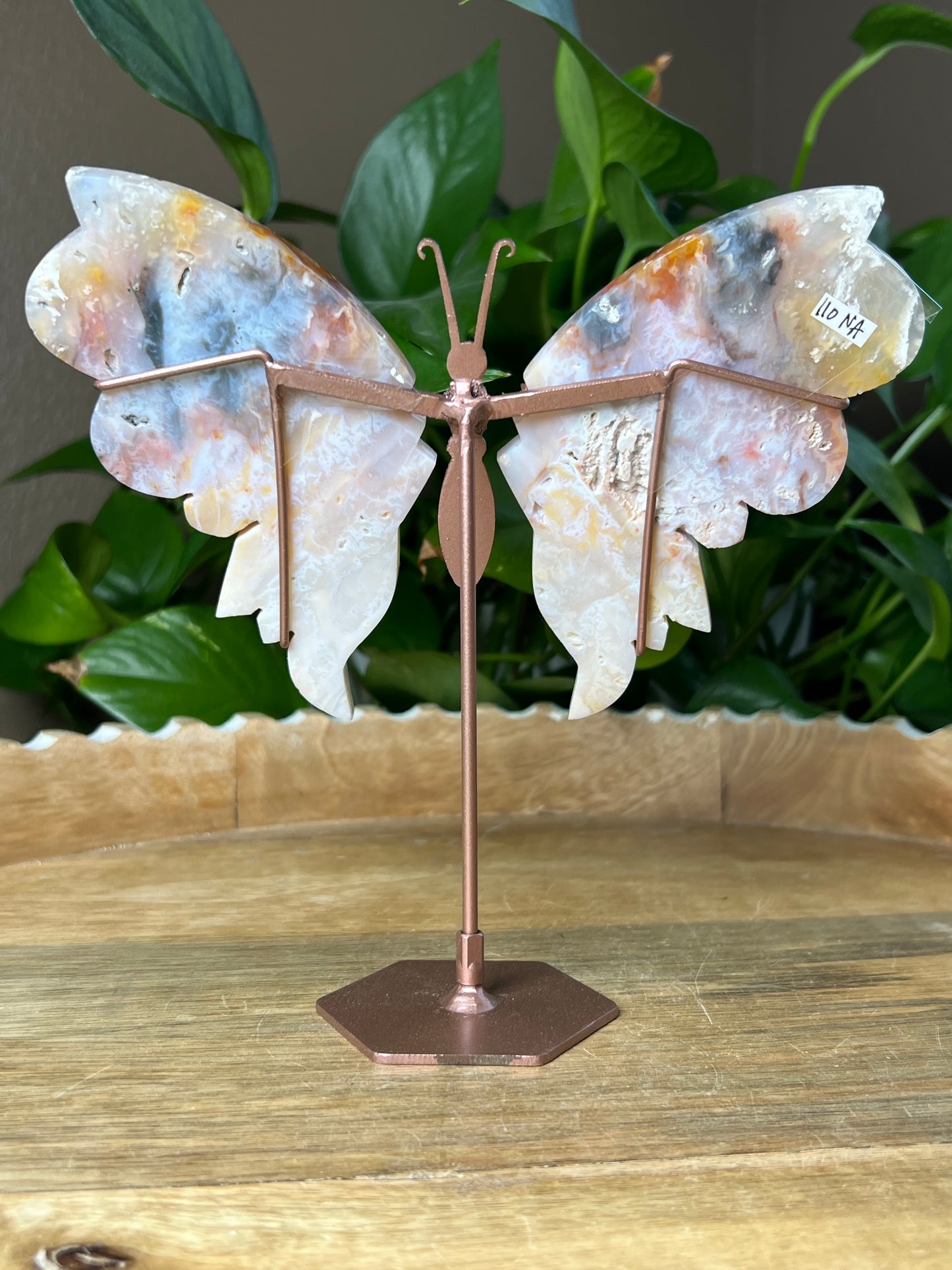 Rainbow Plume Agate Wings