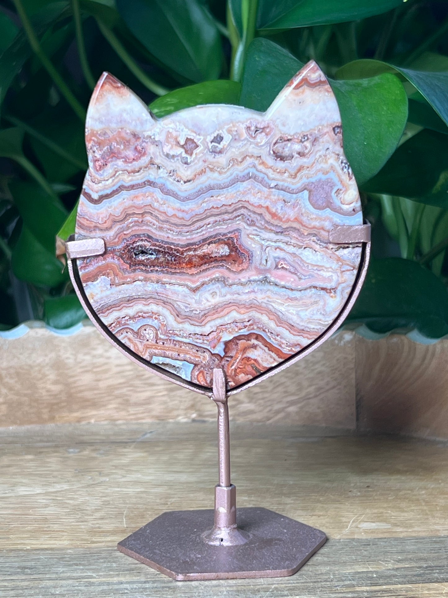 Crazy Lace Agate Cat Head