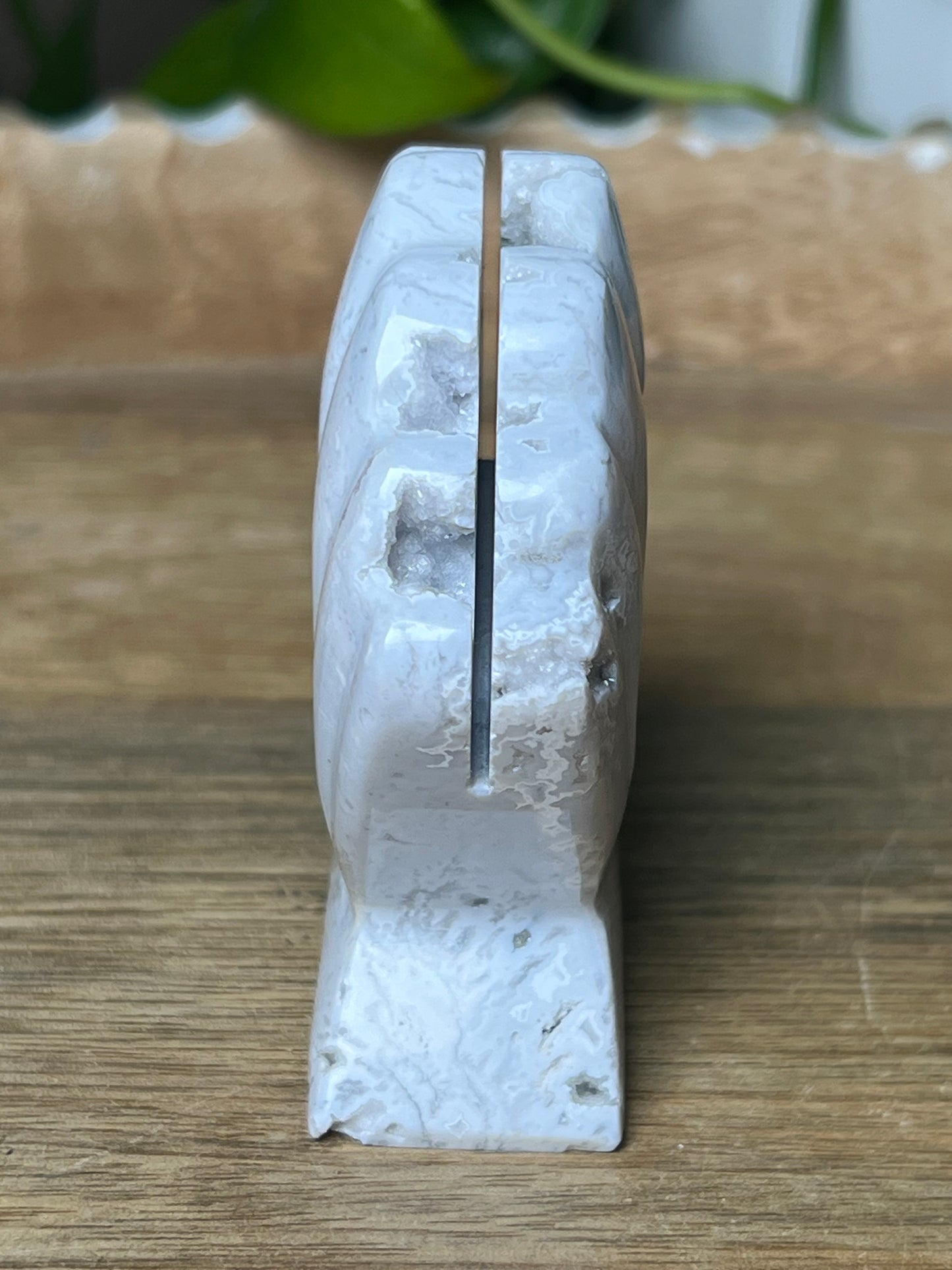 White Plume Agate Shell