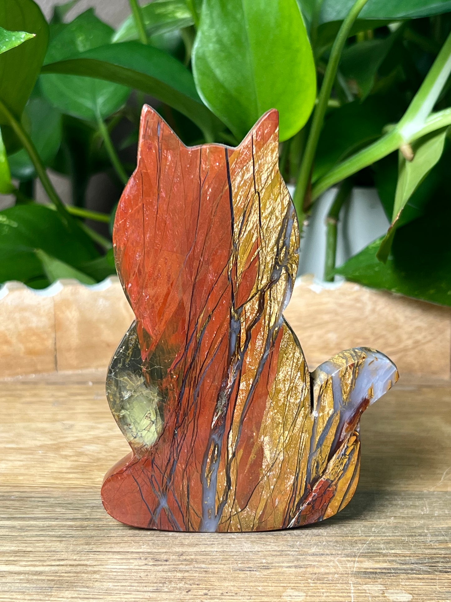 Mossy Red Jasper Cat