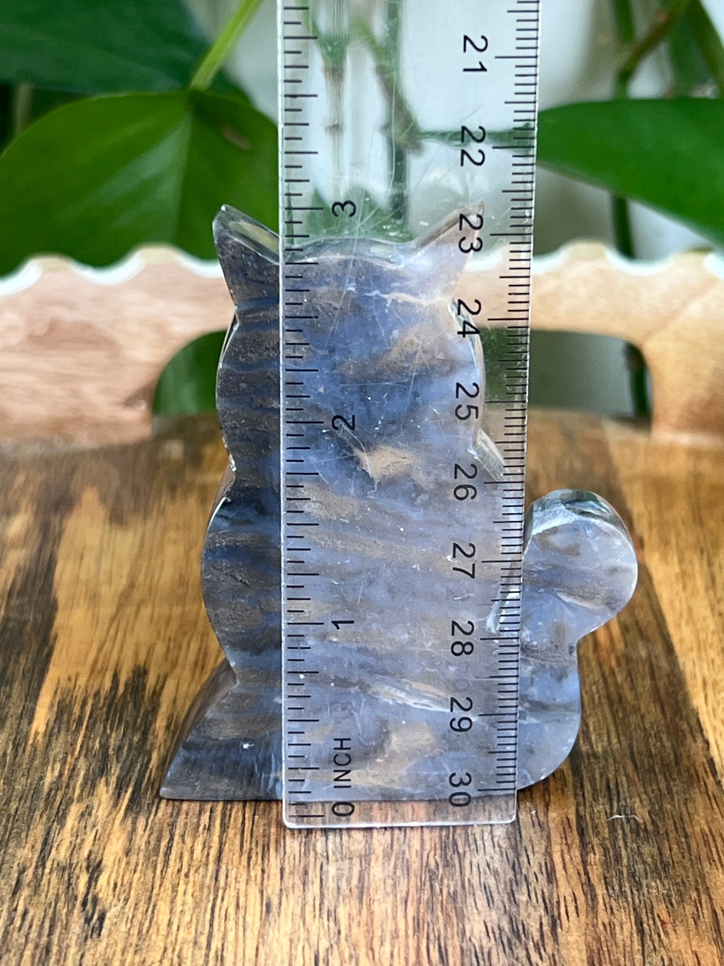 Dendritic Tiger Agate Cat AE