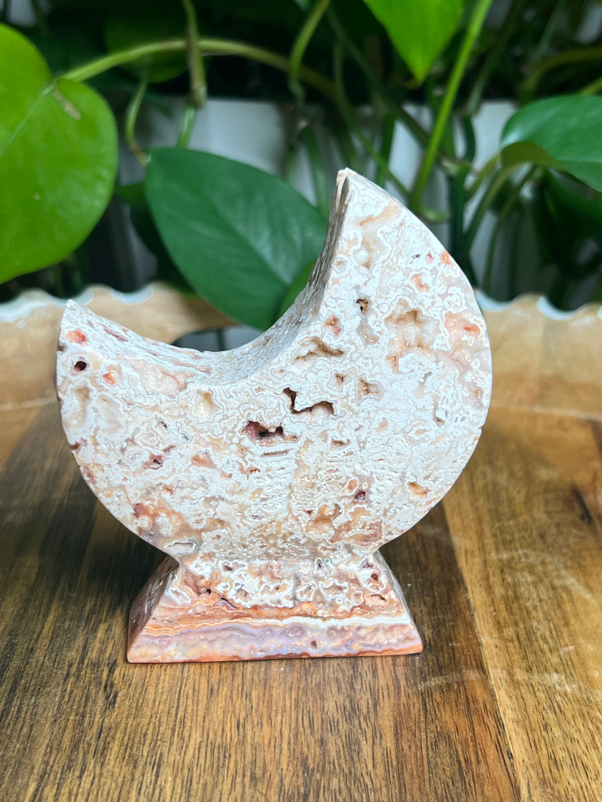 Crazy Lace Agate Self-Standing Moon: T