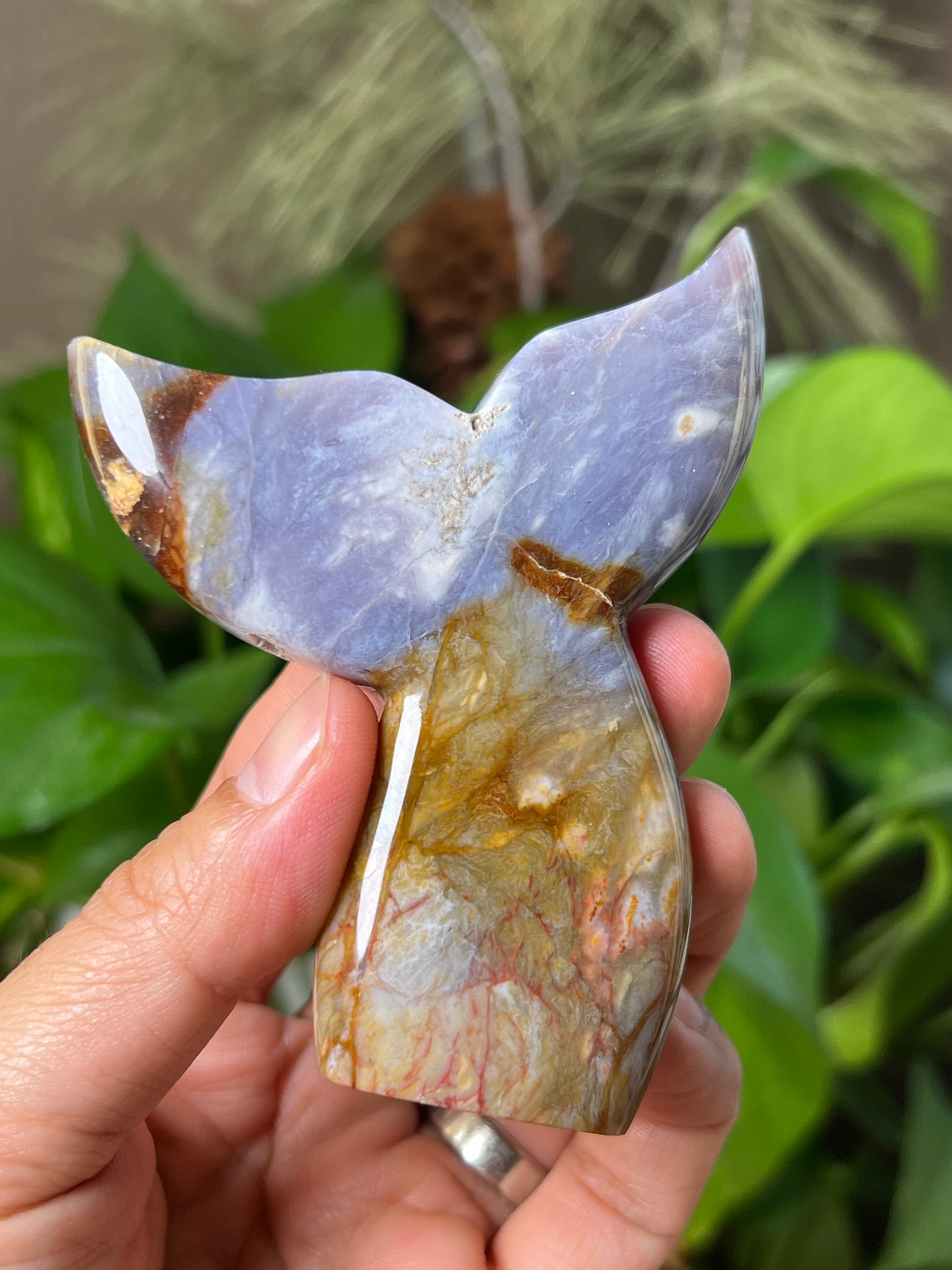 Purple Chalcedony Tail