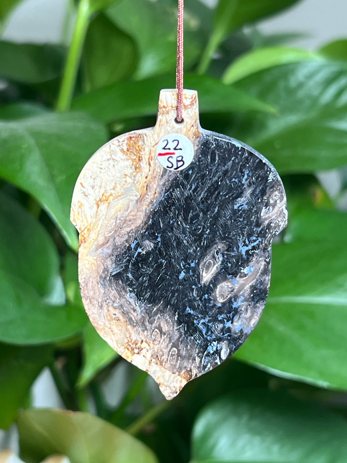 Palm Root Ornament Acorn: SB