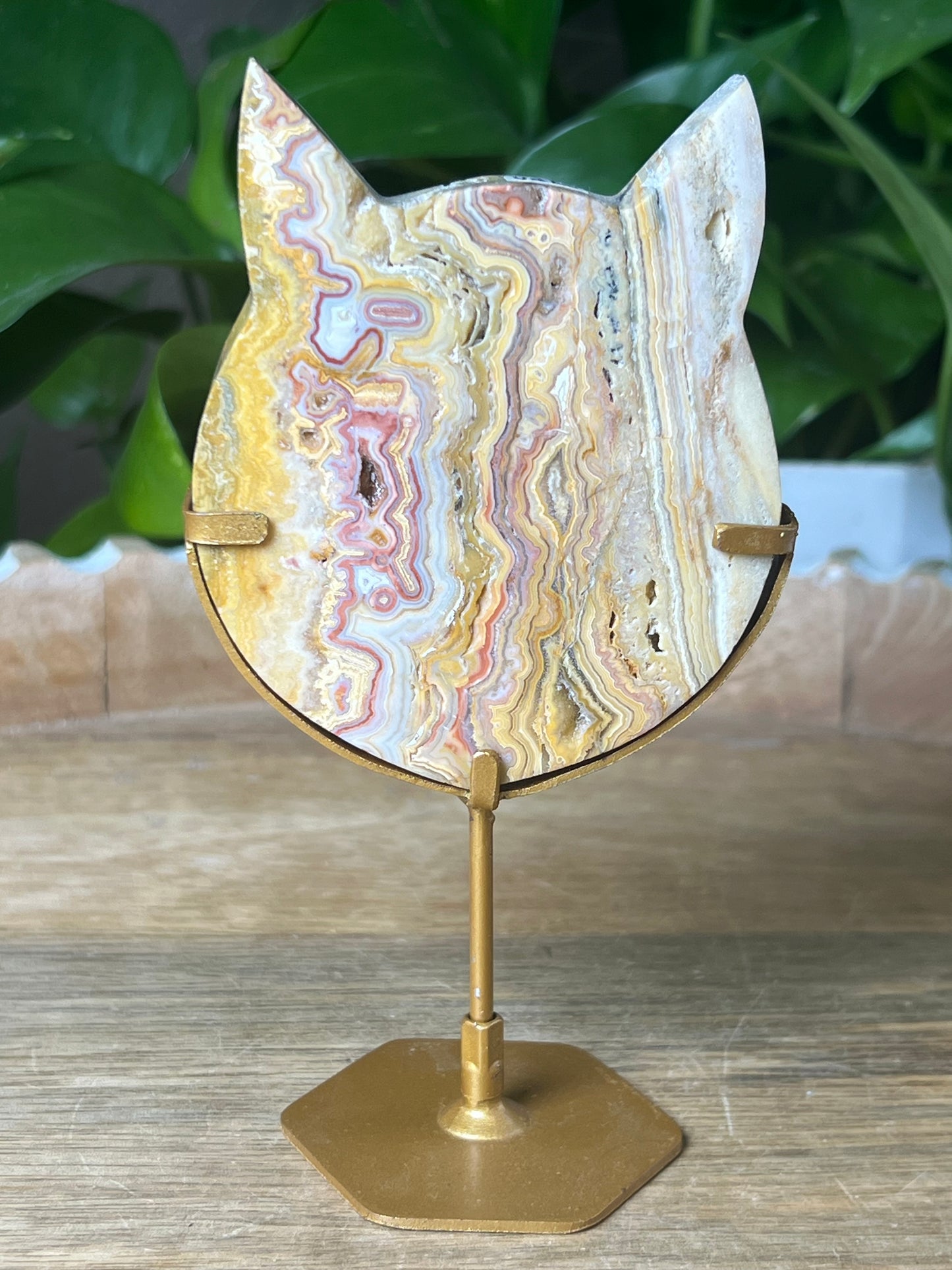 Crazy Lace Agate Cat