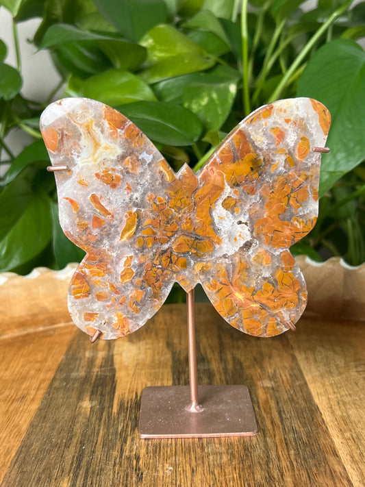 Brecciated Jasper Butterfly