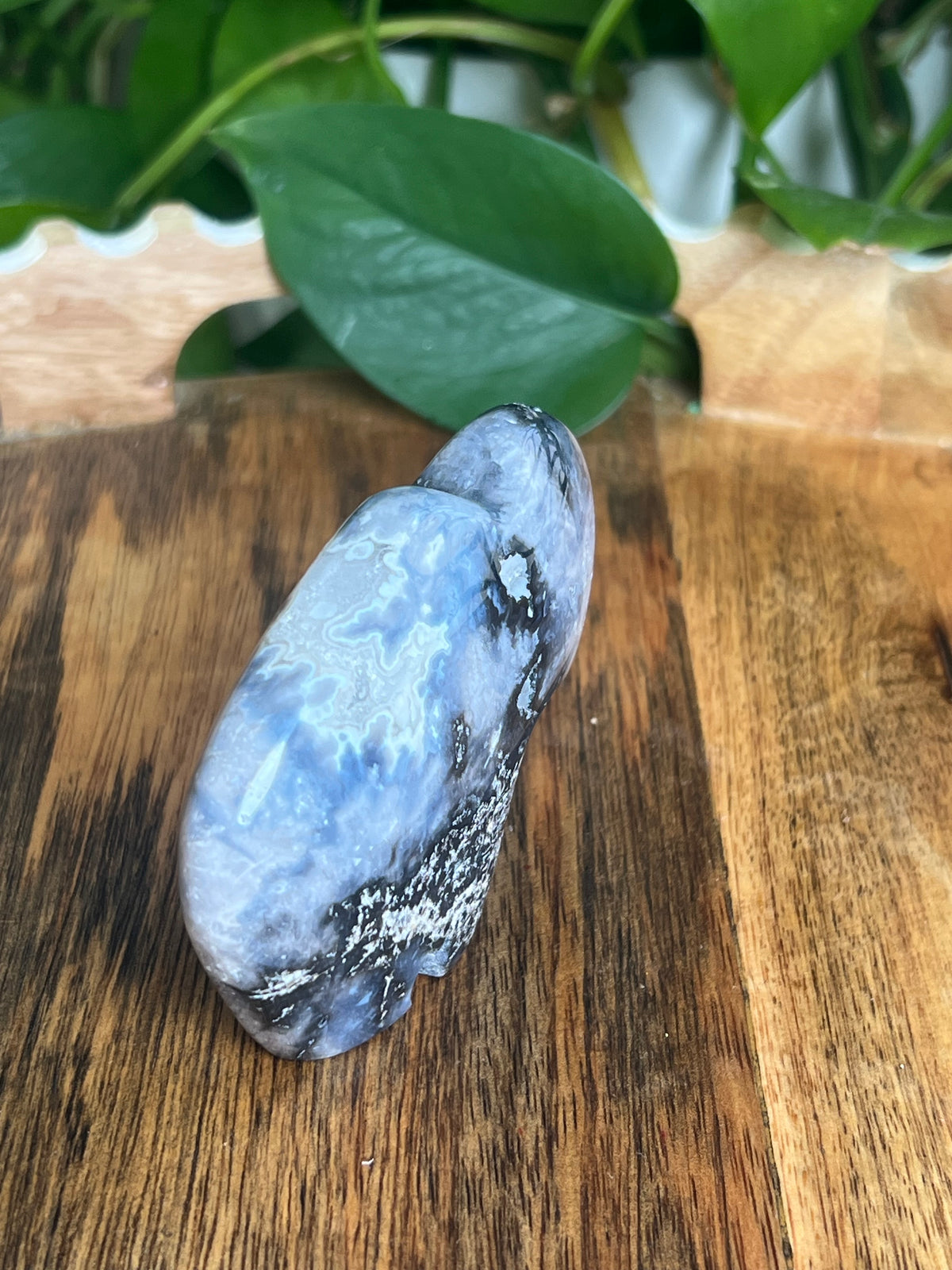 Blue Plume Agate Buffalo: BA