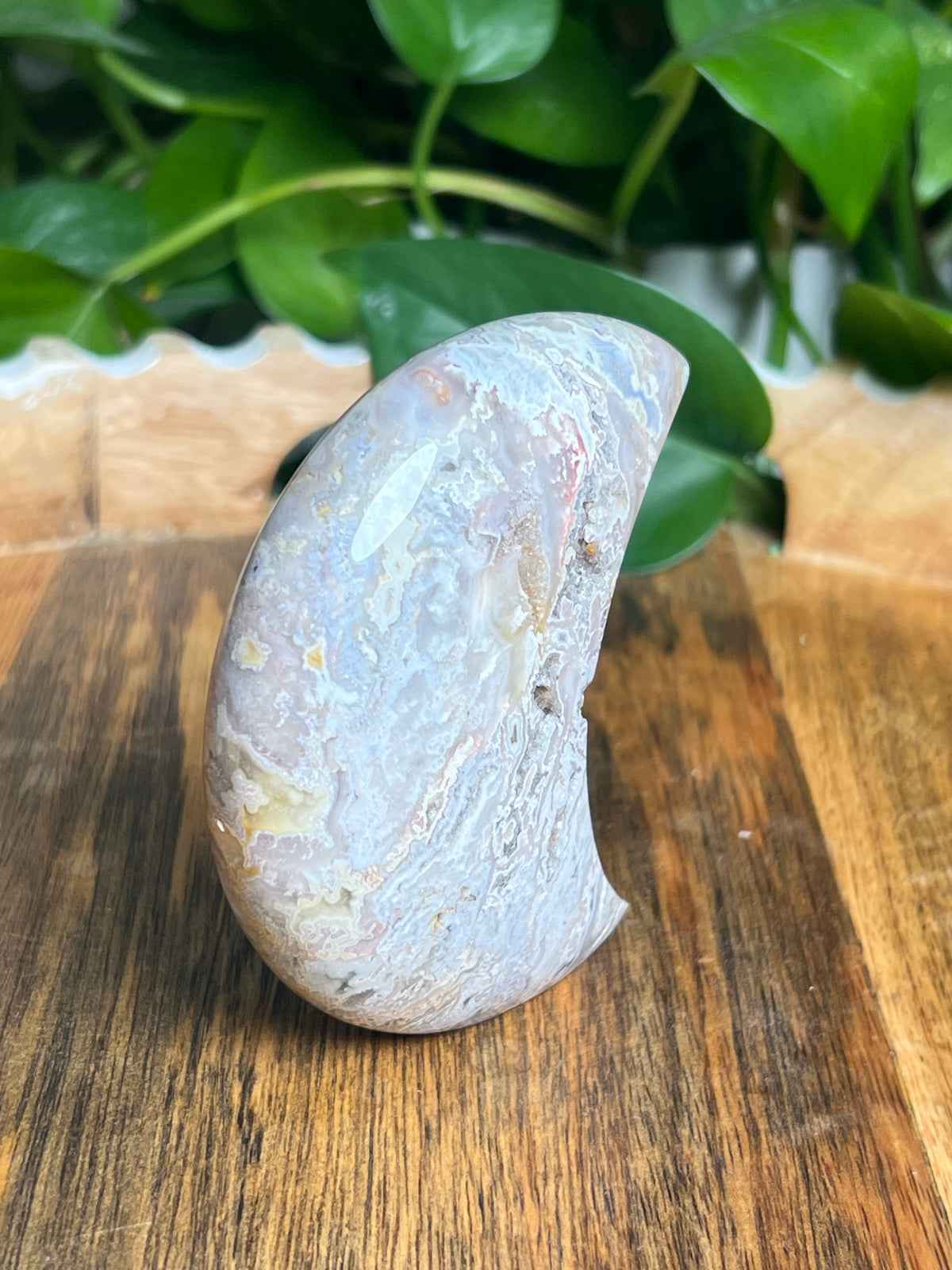 Sumatra Plume Agate Self-Standing Moon: SC